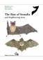 Preview: The Bats of Somalia and Neighbouring Areas